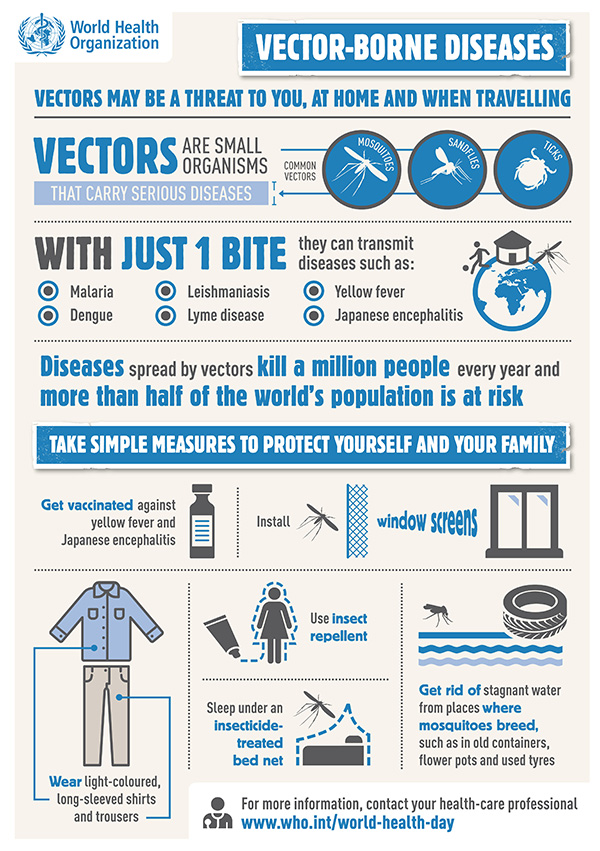infographic